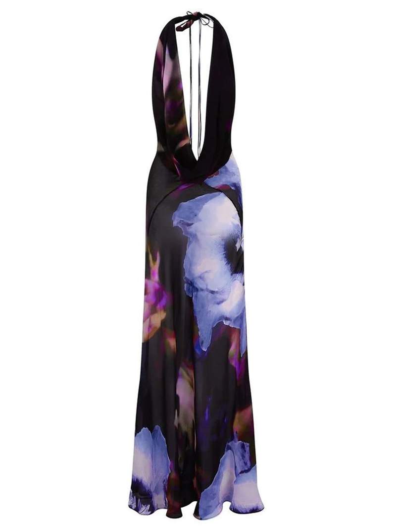 Rachel Sheer Maxi dress